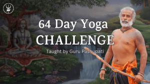 64 Day Challenge